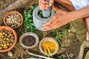 Comparative review of  Aelopathic  & Ayurveda