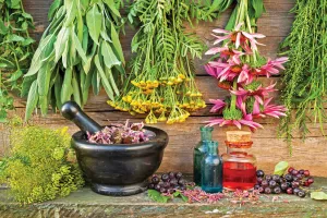 Certified  Ayurvedic  therapies for  Chronic Diseases