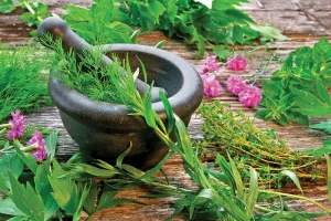 How does ayurveda treat the disease? Why do we adopt ayurveda? 