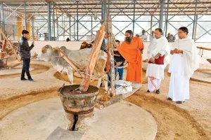 कोल्हू से निकाले सरसों के तैल में एन्टी कैंसर कम्पाउंड को विश्व प्रसिद्ध रिसर्च जर्नल 'फूड केमिस्ट्री'  ने भी माना